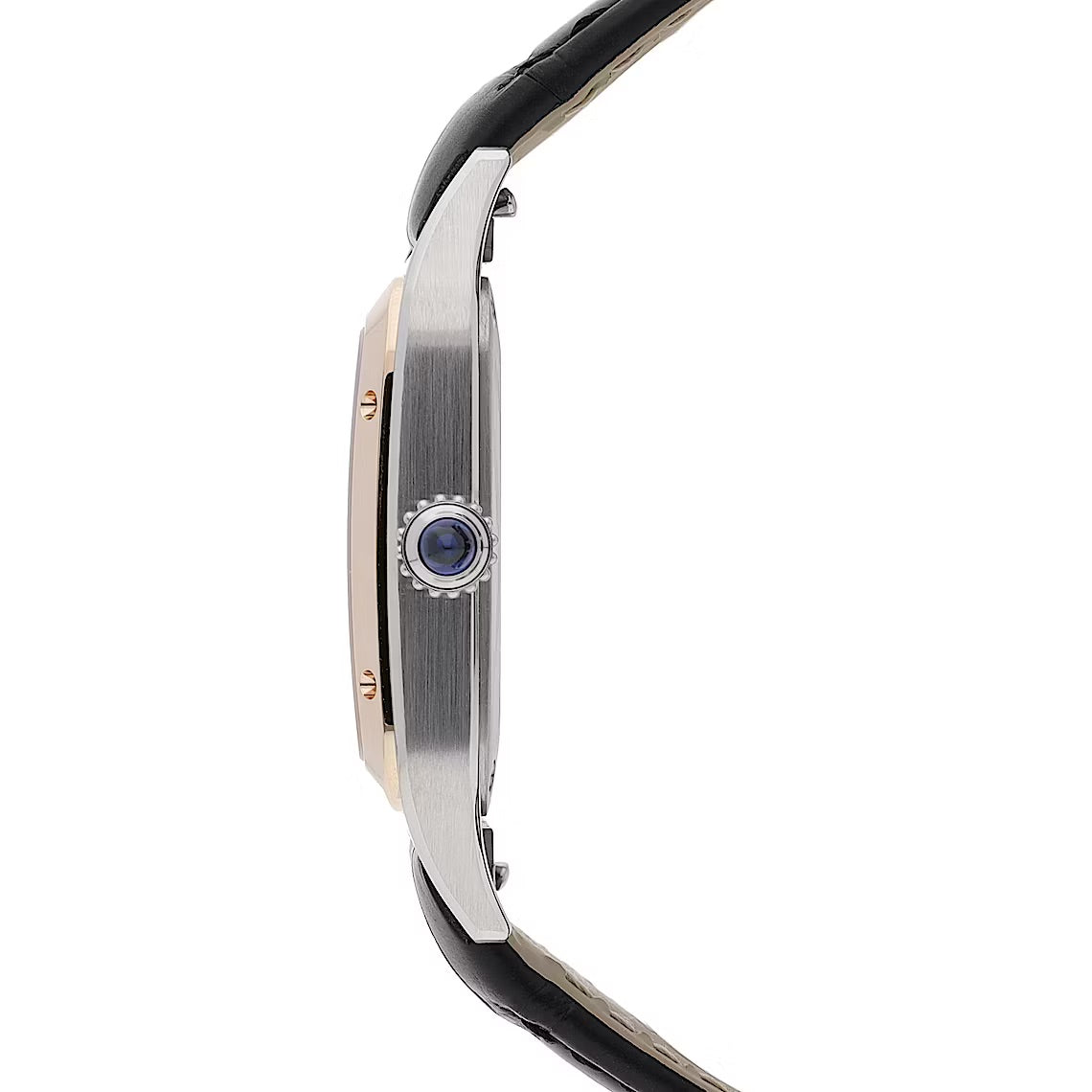 Cartier Santos-Dumont W2SA0017: Orologio di Lusso Elegante e Iconico