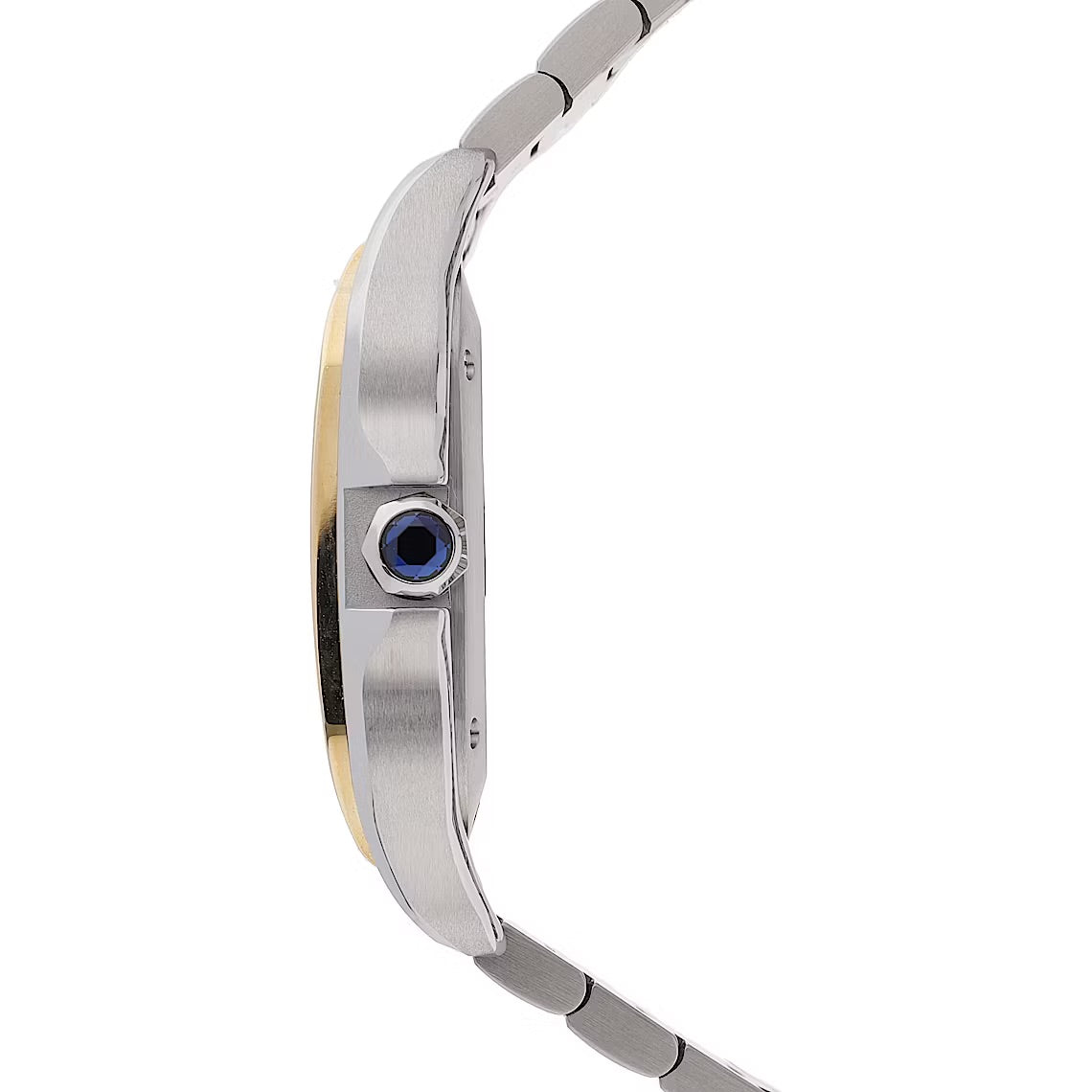 Cartier Santos W3SA0007 orologio: Eleganza e Precisione senza Tempo